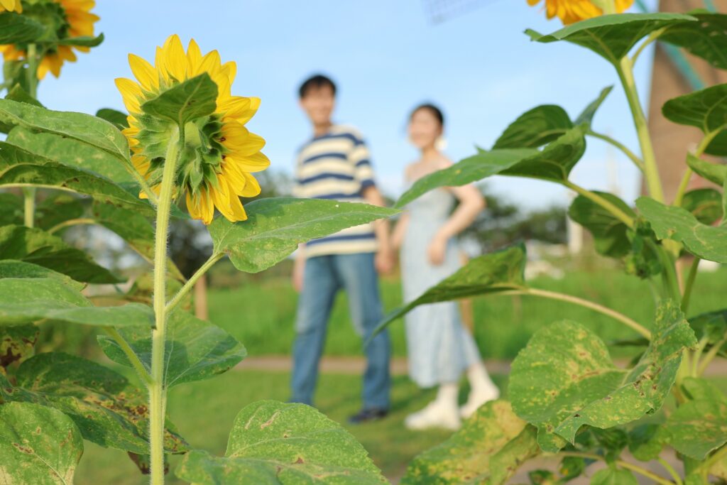 恋愛運の影響